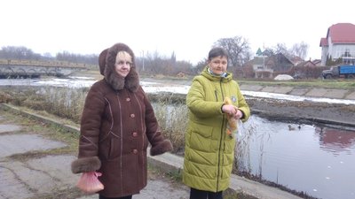Кропивничани підгодовують качок, які не полетіли зимувати на південь Кропивничани підгодовують качок, які не полетіли зимувати на південь
