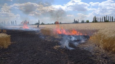 Обстріли російських військ спричинили вісім пожеж на Миколаївщині: горять поля