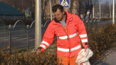 Лучанин Василь Рижук збирає насіння чорнобривців Лучанин Василь Рижук збирає насіння чорнобривців