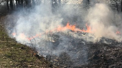 Прикарпатці спалили 350 га сухої трави з початку року