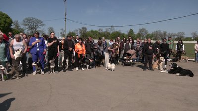 300 учасників і 70 порід. У Кропивницькому відбулася Всеукраїнська виставка собак 300 учасників і 70 порід. У Кропивницькому відбулася Всеукраїнська виставка собак