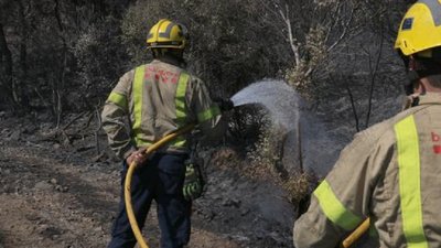 Пожежа в Іспанії знищила понад 400 гектарів природного парку Пожежа в Іспанії знищила понад 400 гектарів природного парку
