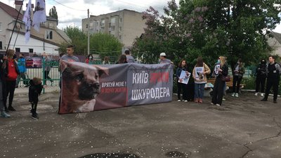 На Житомирщині зоозахисники протестували під судом, де розглядають справу про катування тварин