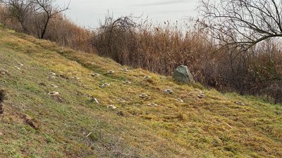 Нездетоновані снаряди та мінні поля. Сапери миколаївської тероборони працюють над розмінуванням Херсонщини Нездетоновані снаряди та мінні поля. Сапери миколаївської тероборони працюють над розмінуванням Херсонщини