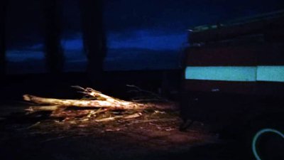 На Дніпропетровщині надзвичайники прибрали дерево, що впало на дорогу