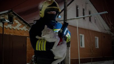 У Сумах під час пожежі в житловому будинку врятували кота