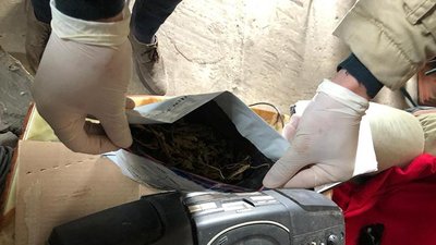 Мінітеплицю в гаражі облаштував мешканець Теребовлі. Там вирощував коноплю Мінітеплицю в гаражі облаштував мешканець Теребовлі. Там вирощував коноплю