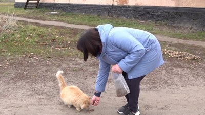 тварини тварини
