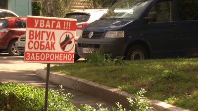 Місця для вигулу собак визначать у Черкасах Місця для вигулу собак визначать у Черкасах