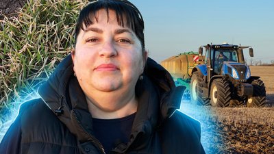 Колаж Суспільне Миколаїв
