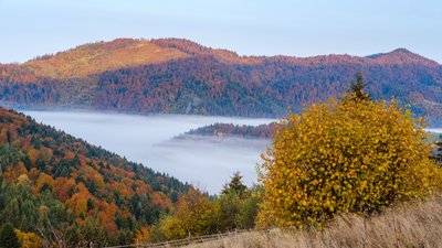 Якою буде погода на Закарпатті 30 серпня