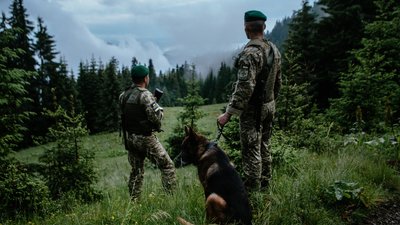 На Закарпатті впродовж вихідних затримали 70 чоловіків за спробу незаконного перетину кордону