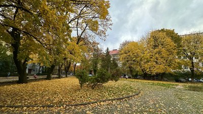 Погода на Закарпатті 14 листопада