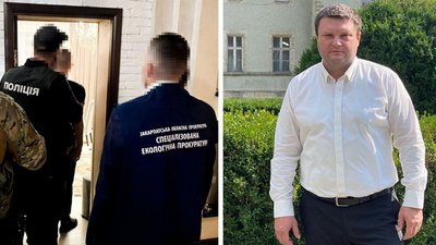 Незаконний збут цінної деревини дуба: на Закарпатті підозрюють депутата облради