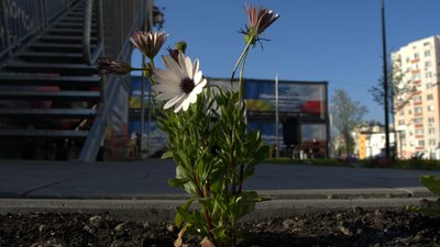 Історія дружини військового, яка дочекалася чоловіка з полону, а тепер допомагає йому в тилу, поки той на фронті Історія дружини військового, яка дочекалася чоловіка з полону, а тепер допомагає йому в тилу, поки той на фронті