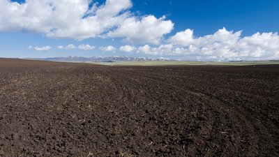 На Дніпропетровщині прокуратура намагається повернути державі земельну ділянку вартістю 6 млн грн