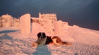 На горі Піп Іван у Карпатах температура повітря опустилася до 17°C морозу
