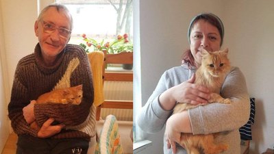 15 котиків з прифоронтового Оріхова нині мешкають в Німеччині 15 котиків з прифоронтового Оріхова нині мешкають в Німеччині
