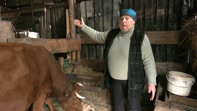 Чому жителі Черкащини відмовляються тримати корів Чому жителі Черкащини відмовляються тримати корів
