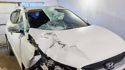 В аварії на Буковині загинув 77-річний пішохід. Водій намагався переховуватись