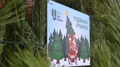 Ялинка, сосна, новорічне дерево