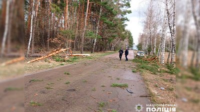 На Чернігівщині через падіння дерева на автівку загинули двоє людей На Чернігівщині через падіння дерева на автівку загинули двоє людей