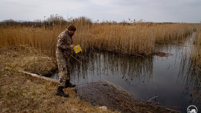 У Чорнобильському заповіднику взялися за відновлення боліт для порятунку екології