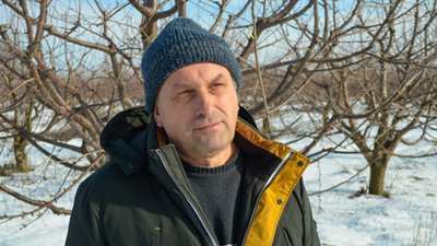 Січневі морози та озимі культури: на Запоріжжі через негоду можлива втрата частини врожаю Січневі морози та озимі культури: на Запоріжжі через негоду можлива втрата частини врожаю