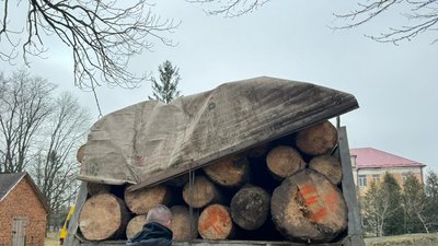 Затримали працівника лісового господарства Затримали працівника лісового господарства