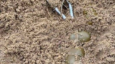 На Миколаївщині підлітки виявили гранати на дитячому майданчику