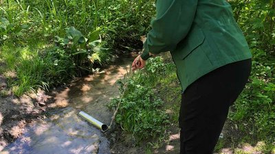 вода, еколог, екоінспекція, екологія, забруднена водойма, струмок