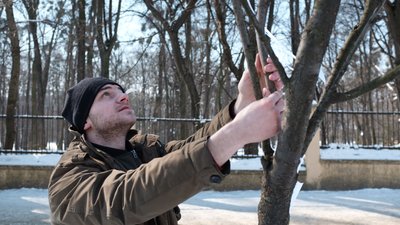 "Ангели пам'яті": у Чернівцях вшанували Героїв Небесної Сотні