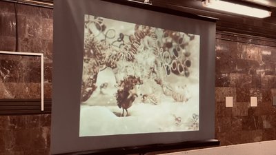“Ми будемо тут до перемоги. І я вірю, що вона буде скоро”. Історія сім’ї зі столичної підземки “Ми будемо тут до перемоги. І я вірю, що вона буде скоро”. Історія сім’ї зі столичної підземки