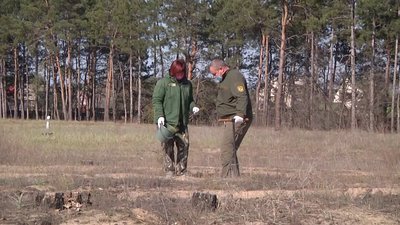 На Херсонщині фінішувала кампанія з озеленення області - висадили 106 гектарів лісу