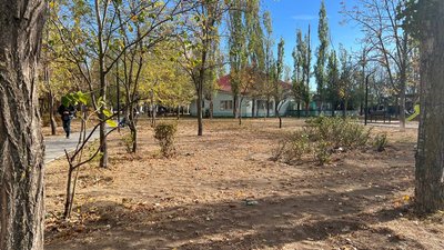 "Роблю це для душі": історія пенсіонера, який понад 30 років озеленює Миколаїв "Роблю це для душі": історія пенсіонера, який понад 30 років озеленює Миколаїв