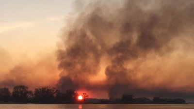 Біля Черкас горить орнітологічний заповідник (ОНОВЛЕНО)