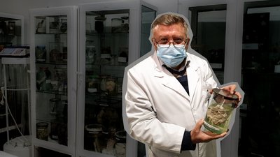 У Кропивницькому хочуть створити музей анатомії людини