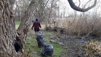 Колодій прибирання Колодій прибирання
