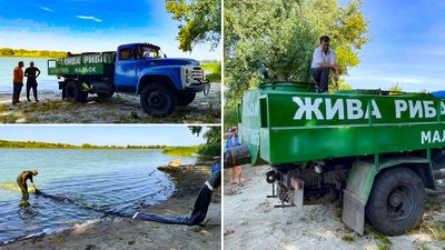 У водосховище та дві річки на Кіровоградщині запустили пів мільйона мальків У водосховище та дві річки на Кіровоградщині запустили пів мільйона мальків