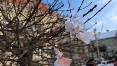 Ангели пам’яті, ангелики на деревах