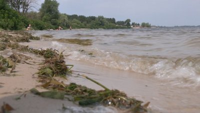 Черкащани просять створити пляж у Дахнівському мікрорайоні