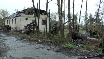 Відновлення екофонду: на території Національного природничого парку "Святі гори" на Донеччині висадили 50 туй Відновлення екофонду: на території Національного природничого парку "Святі гори" на Донеччині висадили 50 туй