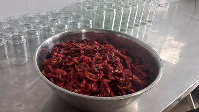 "На Херсонщині томати ростуть скрізь і вони найсмачніші": історія підприємця в Чорнобаївки "На Херсонщині томати ростуть скрізь і вони найсмачніші": історія підприємця в Чорнобаївки