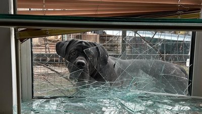 Новомосковськ, ракетний удар