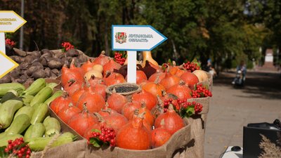 День міста у світлинах. Як Кропивницький відзначив 271 річницю День міста у світлинах. Як Кропивницький відзначив 271 річницю
