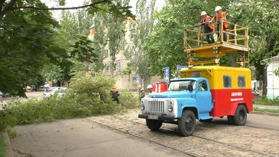 У Миколаєві дерево, що впало, зупинило рух трамваїв