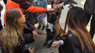 Для дітей-переселенців у Дніпрі провели свято Для дітей-переселенців у Дніпрі провели свято