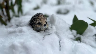 Фігурка їжачка в снігу