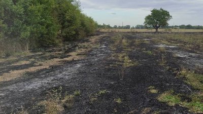 Господарча споруда та суха трава. Рятувальники п'ять разів гасили пожежі на Миколаївщині Господарча споруда та суха трава. Рятувальники п'ять разів гасили пожежі на Миколаївщині