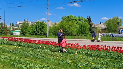 Тюльпани, фонтан, війна. Один з мікрорайонів Дніпра — у фоторепортажі Тюльпани, фонтан, війна. Один з мікрорайонів Дніпра — у фоторепортажі